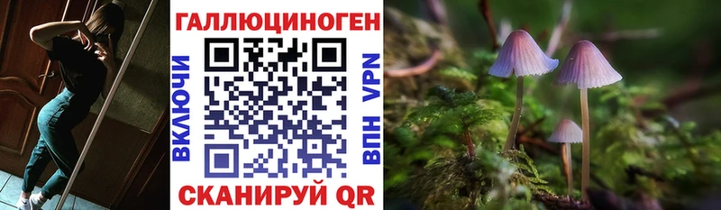 Галлюциногенные грибы прущие грибы  маркетплейс как зайти  Шали 
